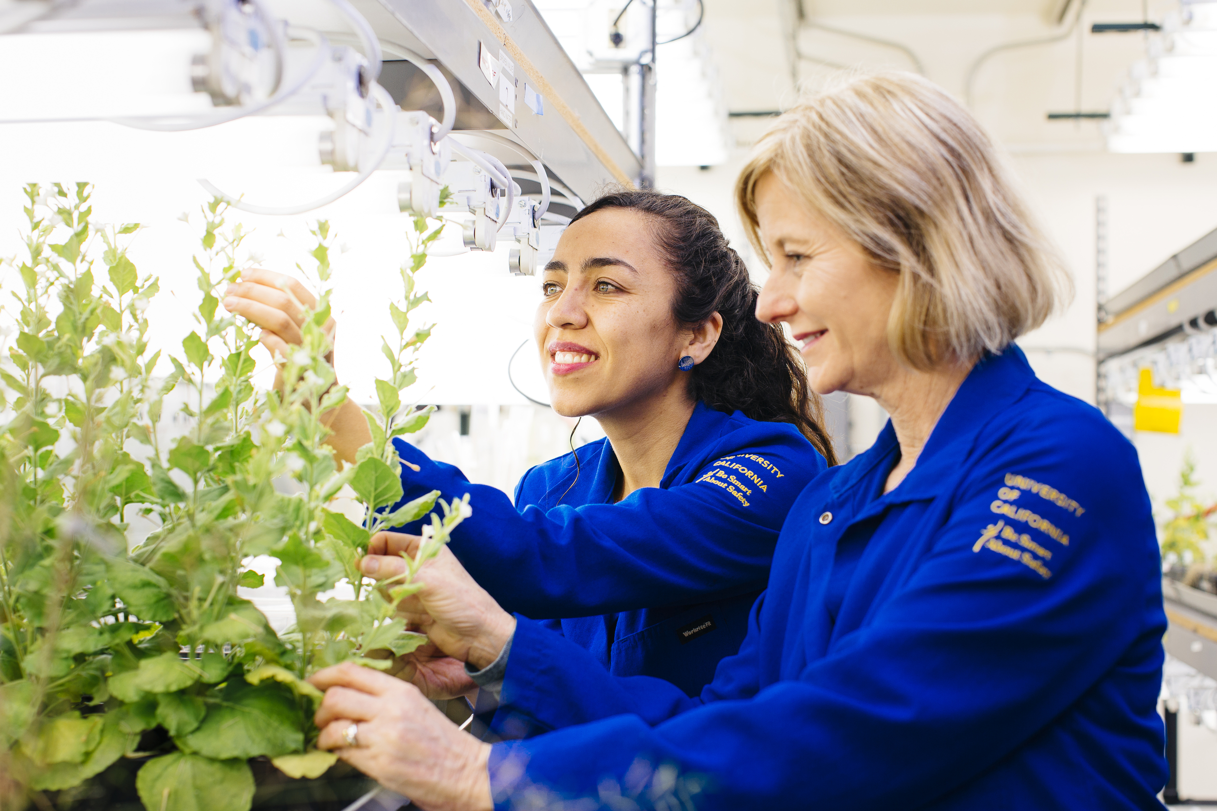 Two UC researchers looking at plants 